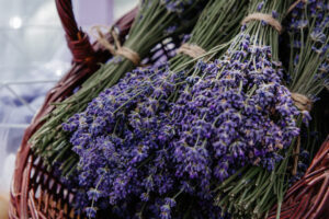 buchet flori proaspete de lavanda