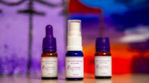 Ulei esențial de lavandă 100% pur – sticluță 10 ml